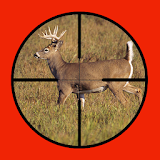 Whitetail Buck Hunter Crossing icon