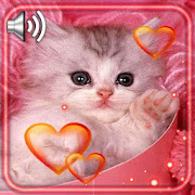 Love Kitty Live Wallpaper