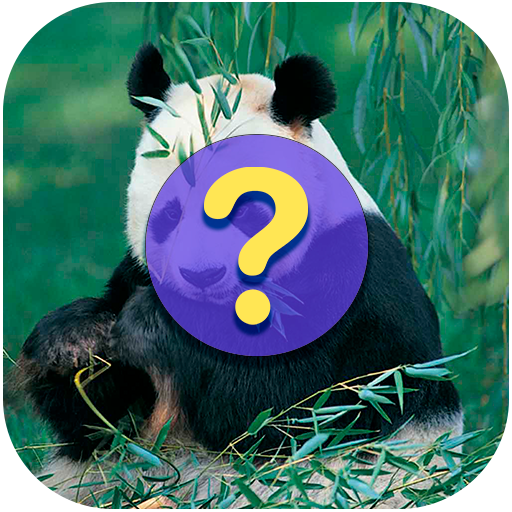 Guess the name of the animals logo