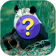 Guess the name of the animals