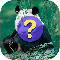 Guess the name of the animals