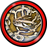 Snake Live Wallpapers icon