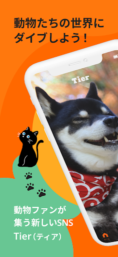Android application Tier screenshort