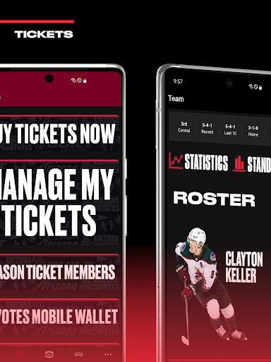 Screenshot of Arizona Coyotes