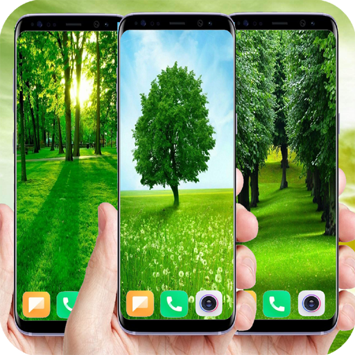 500+Green Tree Wallpaper Download on Windows