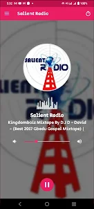 Salient Radio