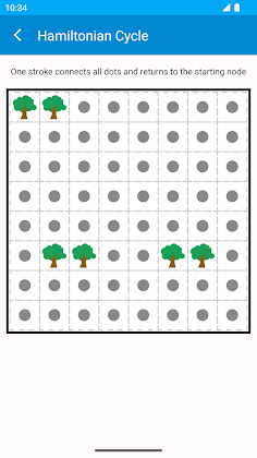 Hamiltonian Cycle - Screenshot 3
