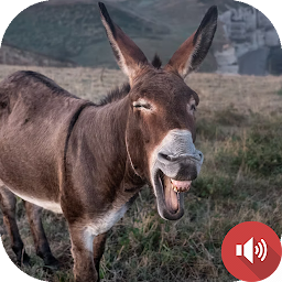 Icon image Donkey Sounds