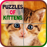 Puzzles of Kittens Free icon