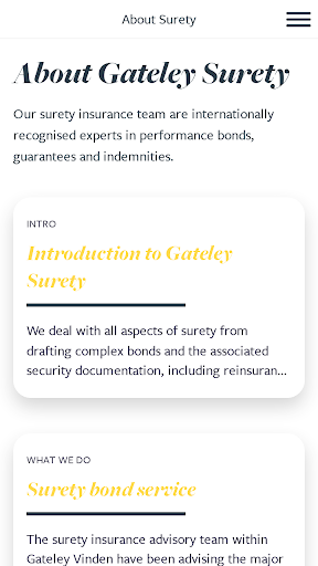 Academy for Sureties Screen 2