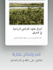 screenshot of AiQarat عقارات العراق