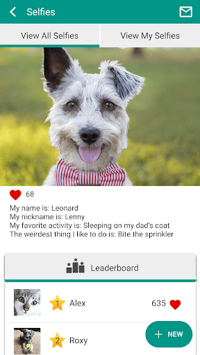 Screenshot of Granville Vet