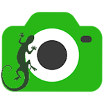 Cover Image of ดาวน์โหลด Gecko Camera v1.3.4 APK