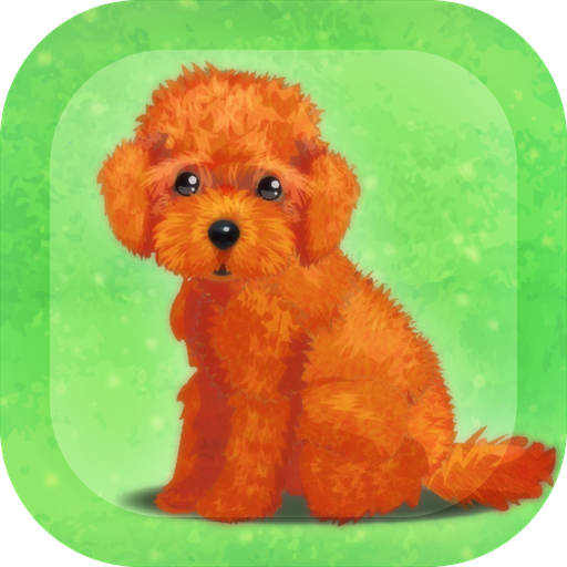 癒しの子犬育成ゲーム トイプードル編 Google Play のアプリ