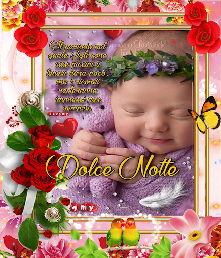 Boa noite em belas imagens GIF Screen 2