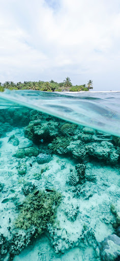 Sea Wallpaper Screen 2