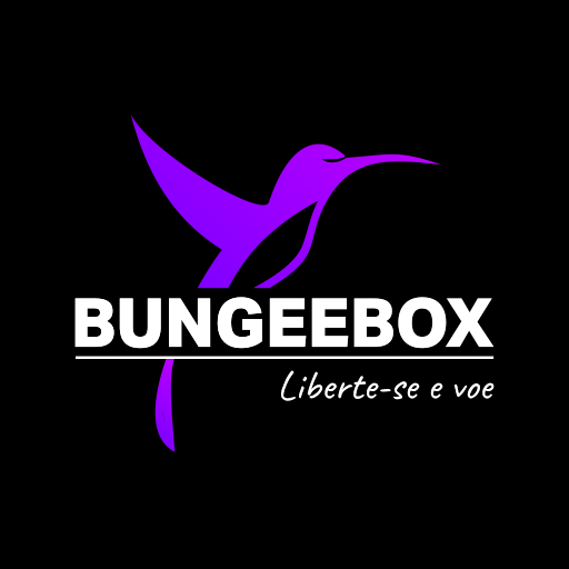 BUNGEE BOX logo
