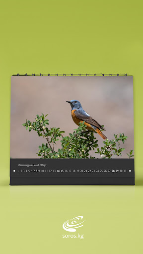 SFK Calendar 2020 Screen 2
