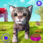 Cryto Cat Simulator