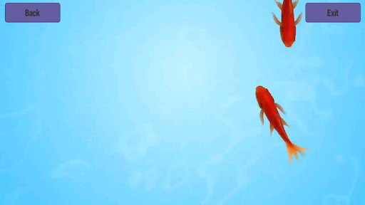 Fish Game for Cats -  cats games - crazy cats