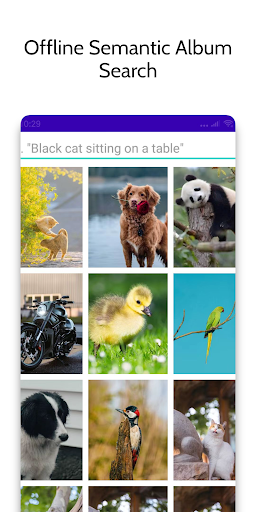 Android application Queryable: Text to Image screenshort