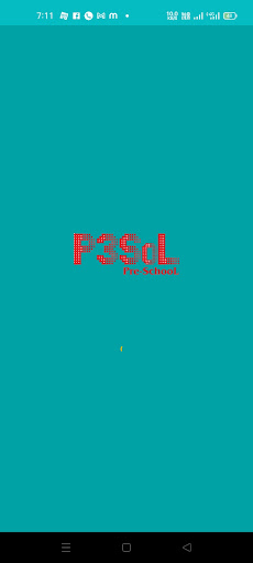 P3SOL Screen 2