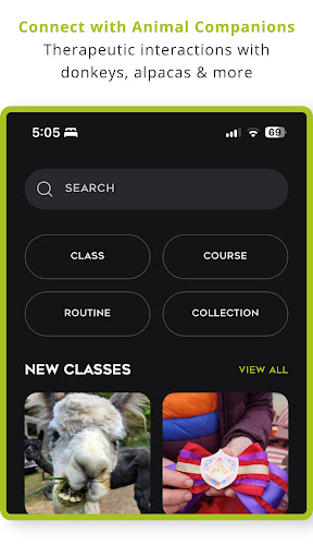 Screenshot of Farm Fit: Allison Smith