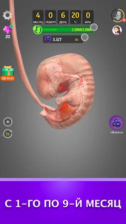 Game screenshot Idle 9 Months apk download