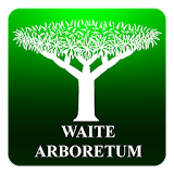 Waite Arboretum icon