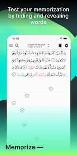 تنزيل تطبيق ترتيل APK للاندرويد حفظ القرآن بالذكاء الاصطناعي بدون نت مجانا 2024 4