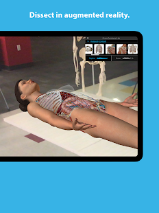 Human Anatomy Atlas 2024 Screenshot