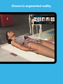 Human Anatomy Atlas 2023 Mod (All Content Unlocked) IPA For iOS Gallery 9