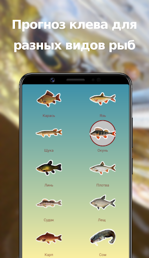 Android application Клев по погоде screenshort