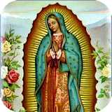Que Oculta la Virgen Guadalupe icon