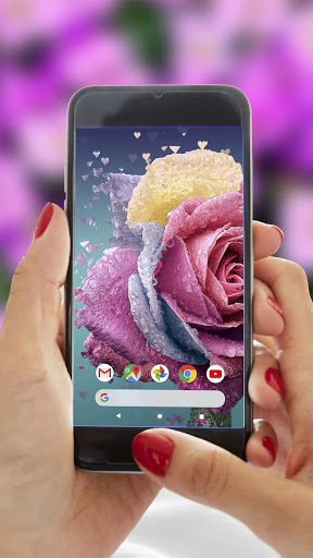 Flower Live Video Wallpaper