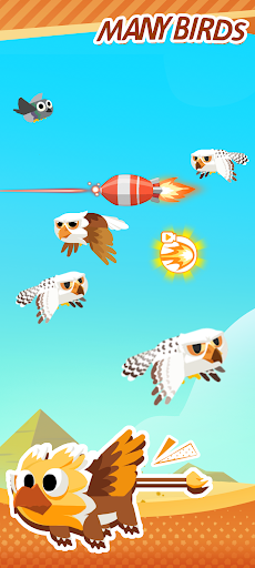 Many Brids Screen 3