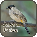Cover Image of Download Masteran Kutilang Gacor - Offline 2.1 APK