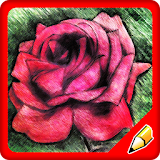 How to Draw a Rose Flower icon