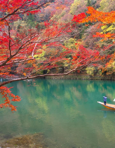 Autumn Garden Wallpaper