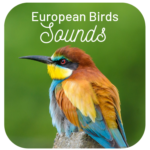 European Bird Sounds विंडोज़ पर डाउनलोड करें