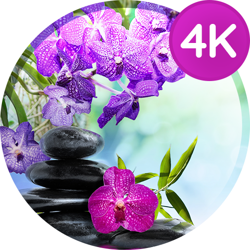 Wallpapers with flowers in 4K 3.2.0 Icon