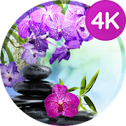 Top 30 Personalization Apps Like Wallpaper with flowers - Best Alternatives