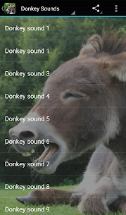 Donkey Sounds 2