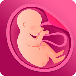 Baby & Pregnancy Tracker apk
