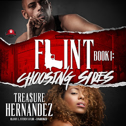 Icon image Flint, Book 1: Choosing Sides