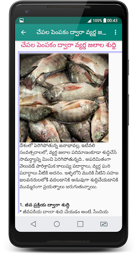Pasuvula Pempakam Screen 3