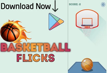 BasketBall Flicks:Sport Game