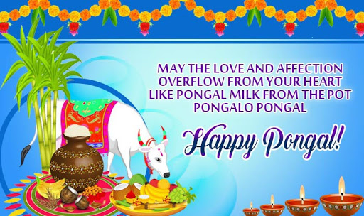 Pongal greetings