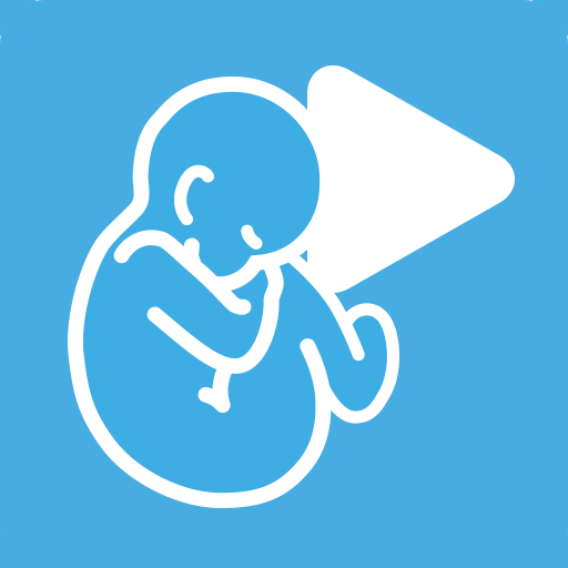 VR Fetus Home Player logo