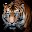 Tiger Wallpapers | Cool tigers Download on Windows